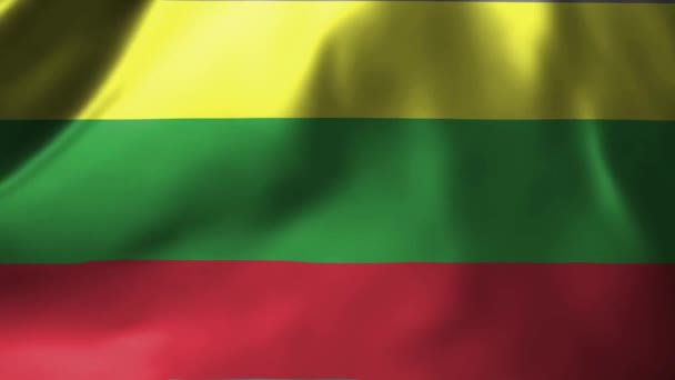 Primer Plano Bandera Lituania Ondeando Viento Lituania Bandera Nacional Ondeando — Vídeos de Stock