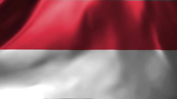 Nahaufnahme Der Flagge Von Monaco Die Wind Weht Die Nationalflagge — Stockvideo