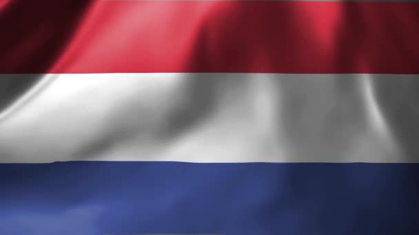 Hollanda Bayrağının Rüzgarda Dalgalanan Yakın Çekimi Hollanda Ulusal Bayrağı Sallıyor — Stok video