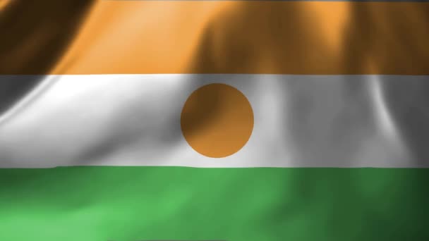 Κοντινό Πλάνο Της Σημαίας Του Νίγηρα Που Κυματίζει Στον Άνεμο — Αρχείο Βίντεο