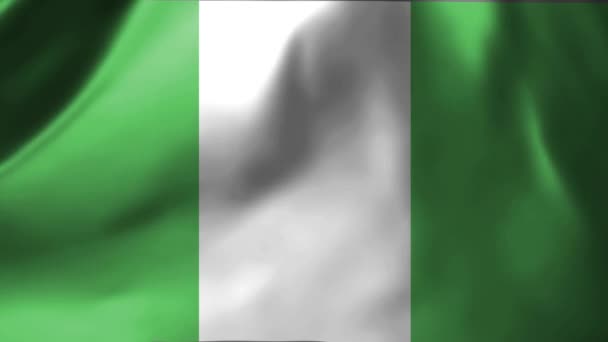 Primer Plano Bandera Nigeria Ondeando Viento Nigeria Bandera Nacional Ondeando — Vídeos de Stock