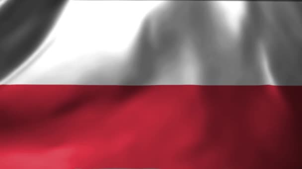 Κοντινό Πλάνο Της Πολωνικής Σημαίας Που Κυματίζει Στον Άνεμο Εθνική — Αρχείο Βίντεο