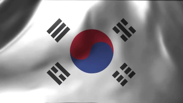 Κοντινό Πλάνο Της Σημαίας Της Νότιας Κορέας Που Κυματίζει Στον — Αρχείο Βίντεο
