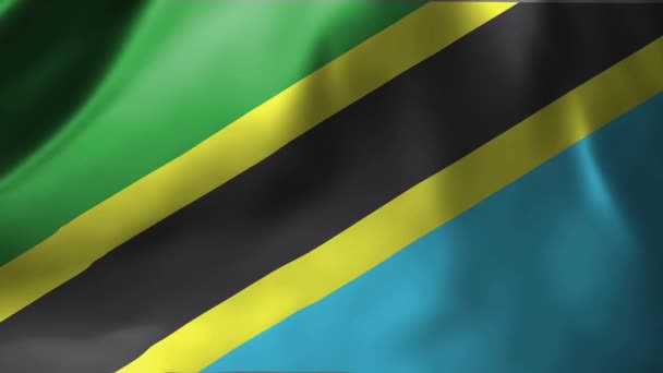 Primer Plano Bandera Tanzania Ondeando Viento Bandera Nacional Tanzania Ondeando — Vídeo de stock