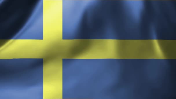 Primer Plano Bandera Suecia Ondeando Viento Bandera Nacional Suecia Ondeando — Vídeos de Stock