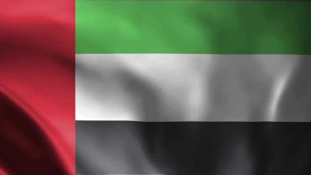 Primer Plano Bandera Los Emiratos Árabes Unidos Ondeando Viento Bandera — Vídeo de stock