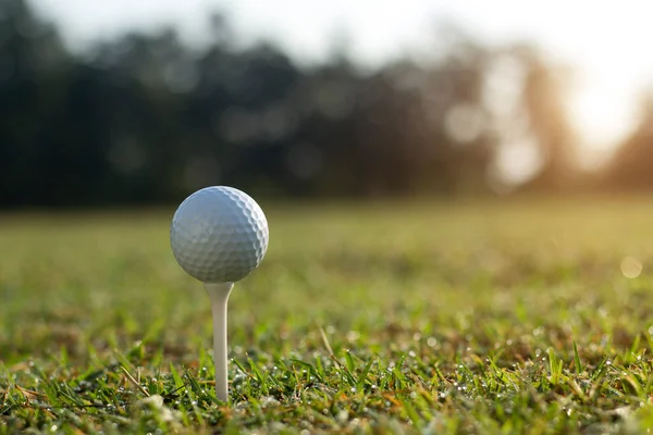 Bola Golfe Tee Belo Campo Golfe Com Sol Manhã Pronto — Fotografia de Stock