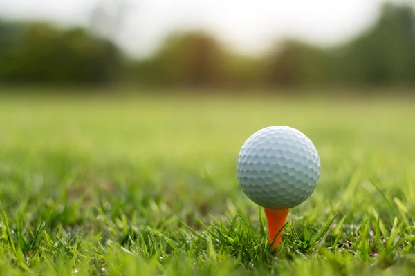 Golfboll Tee Vacker Golfbana Med Morgonsol Redo För Golf Första — Stockfoto