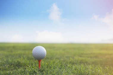 Golf topu sabah güneşli güzel bir golf sahasında. İlk kısa devrede golfe hazır. Dünyanın dört bir yanındaki insanların sağlık için yaptıkları sporlar..