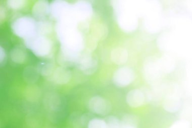 Yeşil doğa bokeh, soyut arka plan grafik tasarım veya duvar kağıtları için. Poster veya tebrik kartı yazdırma için doğal şablon.