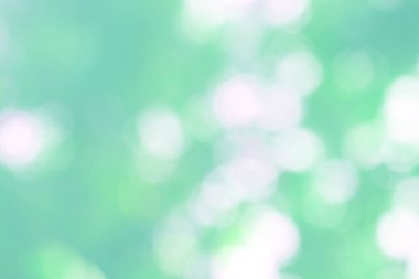 Yeşil doğa bokeh, soyut arka plan grafik tasarım veya duvar kağıtları için. Poster veya tebrik kartı yazdırma için doğal şablon.