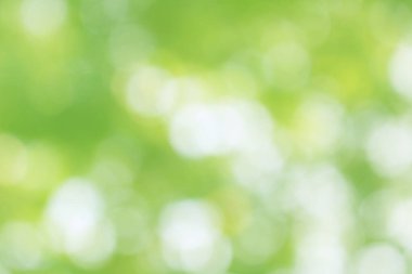 Yeşil doğa bokeh, soyut arka plan grafik tasarım veya duvar kağıtları için. Poster veya tebrik kartı yazdırma için doğal şablon.