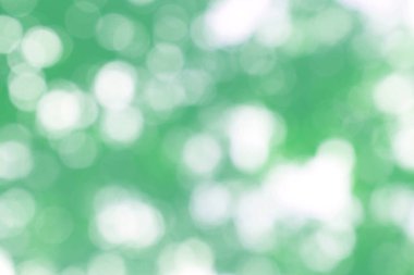 Yeşil doğa bokeh, soyut arka plan grafik tasarım veya duvar kağıtları için. Poster veya tebrik kartı yazdırma için doğal şablon.