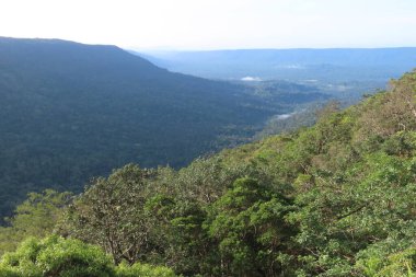 Yağmur ormanı ve dağın yüksek açılı görüntüsü