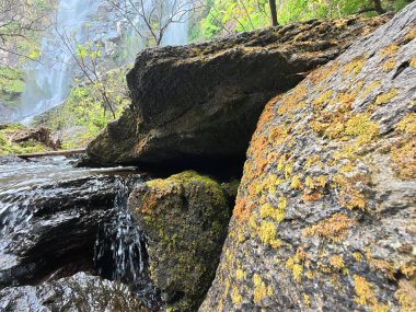 Yağmur ormanlarında yosun bulunan Khlonglan şelalesi.