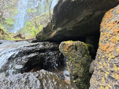 Yağmur ormanlarında yosun bulunan Khlonglan şelalesi.