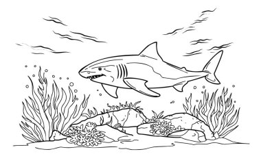 Coloring page shark. Coloring page life in the ocean with algae clipart