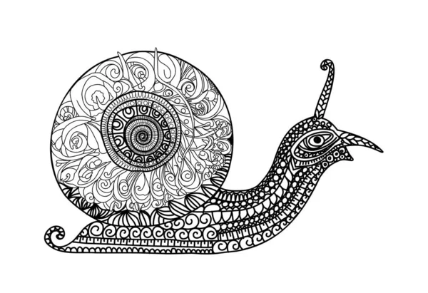 Caracol Molusco Zentangle Style Simple Línea Ilustración Para Colorear Libro — Archivo Imágenes Vectoriales
