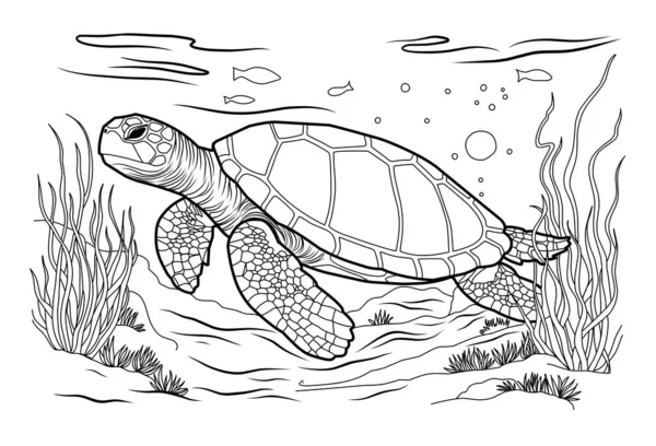Big Ocean Turtle Cute Striped Fishes Underwater World Algae Sand — Stock Vector