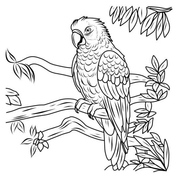 Страница Раскраски Попугай Макао Экзотическая Страница Раскраски Птиц — стоковый вектор