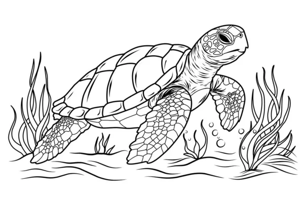 大海龟 可爱的条纹鱼在水下世界与藻类 泡沫白色孤立的背景 适合儿童和成人在书页上涂色 — 图库矢量图片