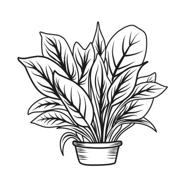 Sonbahar boyama sayfası. Sonbahar kompozisyonu doğrusal illüstrasyon. Çocuklar için sonbahar boyama kitabı