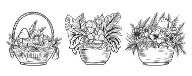 Mantar boyama sayfası. Sonbahar kompozisyonu doğrusal illüstrasyon. Çocuklar için sonbahar boyama kitabı