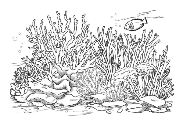 Onderwaterwereld Kleurplaat Kleurplaten Leven Oceaan Met Algen — Stockvector