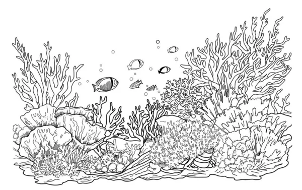 Unterwasserwelt Malseite Malvorlagen Leben Meer Mit Algen lizenzfreie Stockvektoren