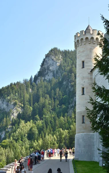Замок Neuschwanstein Южная Германия 2021 Замок Neuschwanstein Северной Окраине Альп — стоковое фото