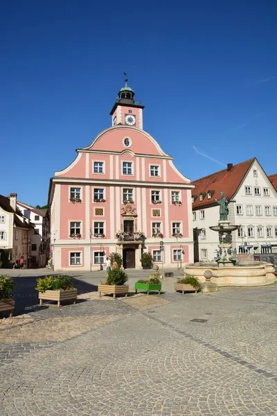 Eichsttt, Almanya 08.11.2024: Almanya 'nın Bavyera bölgesindeki Eichsttt kasabasında tarihi binalar