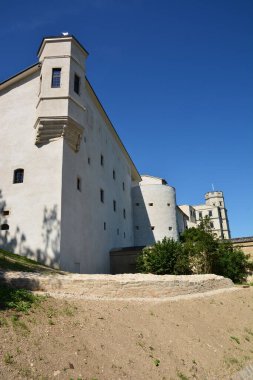 Eichsttt, Almanya 08.11.2024: Almanya 'nın Bavyera bölgesi yakınlarındaki WILLIBALDSBURG kalesinin (WILLIBALDSBURG) bir kısmı