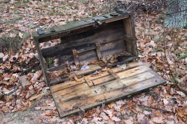 Green empty military box in the forest.