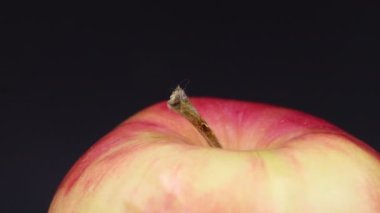 Rotating apple on a gray background. Fruit.