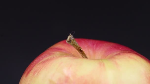 Rotating Apple Gray Background Fruit — Vídeo de Stock