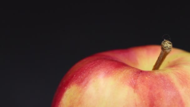 Rotating Apple Gray Background Fruit — 비디오