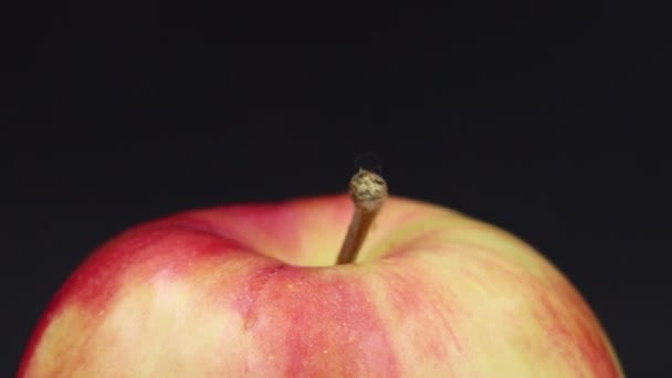 Rotating Apple Gray Background Fruit — Video