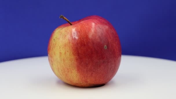 蓝色背景下的湿红色天然苹果 — 图库视频影像