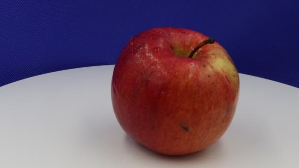 青い背景にぬれた赤い天然のリンゴを回転させる — ストック動画