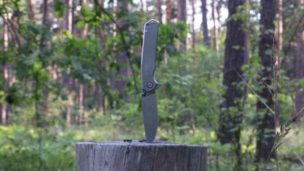 Összecsukható Kés Beszorult Egy Száraz Csonkba Erdőben Turizmus Szabadtéri Kikapcsolódás — Stock videók