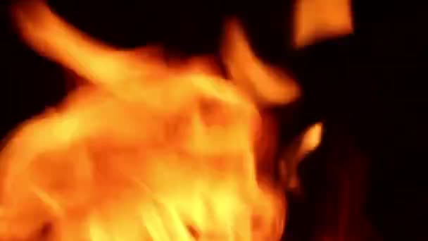 Огонь Пожара Ночью Крупным Планом Спокойно Видеоматериалы — стоковое видео