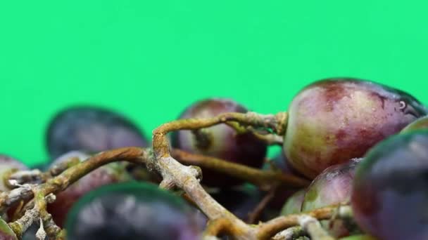 Videobeelden Van Druiven Een Groene Achtergrond — Stockvideo