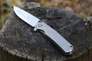 Bir kütüğe katlanmış bir bıçağın yakın çekimi. Hobiler ve açık hava eğlencesi.