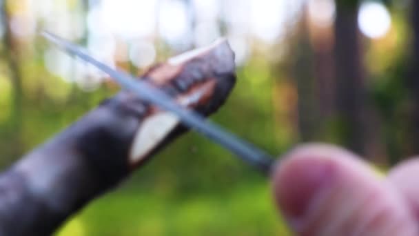 Száraz Ágat Ültetni Egy Késsel Egy Nyári Erdőben Kempingezés Túlélés — Stock videók