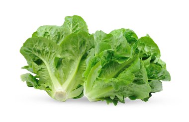 Çünkü beyaz zemin üzerine izole