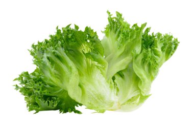 Beyaz arka planda taze marul yaprakları