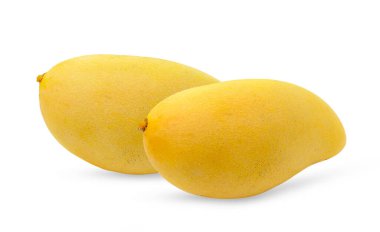 Mango beyaz arkaplanda izole edildi