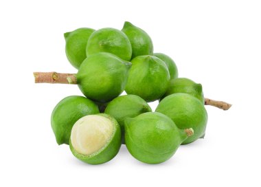 Beyaz arka planda taze Macadamia fındığı