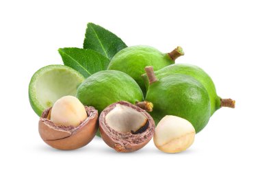 Beyaz arka planda yaprağı olan Macadamia fındıkları