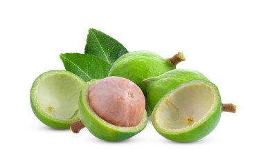 Beyaz arka planda yaprağı olan Macadamia fındıkları
